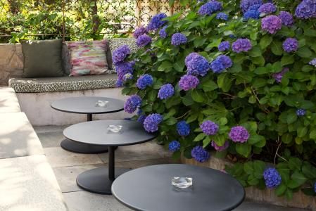 Hôtel Albion - Hotel