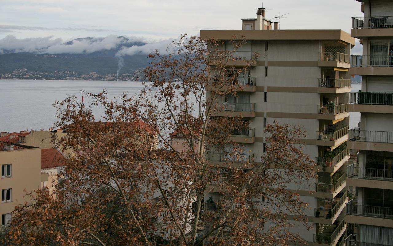 Hôtel Albion - Hotel