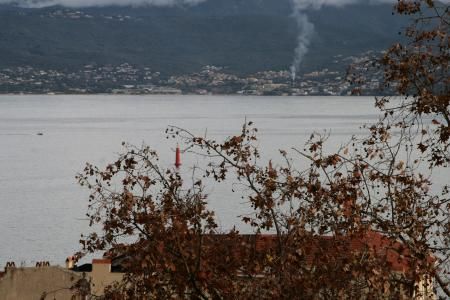 Hôtel Albion - Hotel