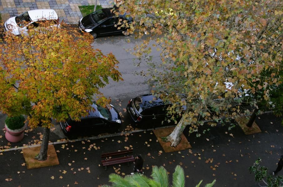 Hôtel Albion - View